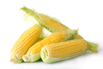 fresh corn isolated on white