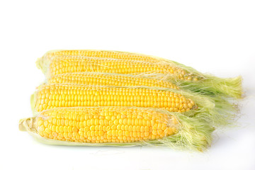 fresh corn isolated on white