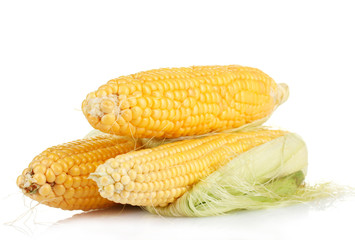 fresh corn isolated on white