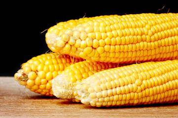 Fresh corn on black background