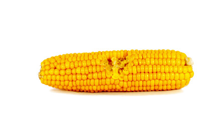 Cooked corn cob
