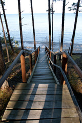Fototapeta premium path to sea