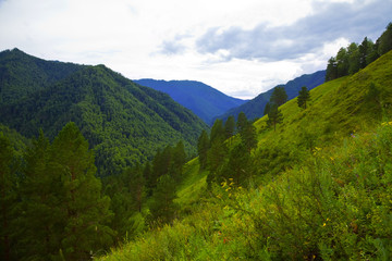 Fototapeta na wymiar Góry Ałtaj