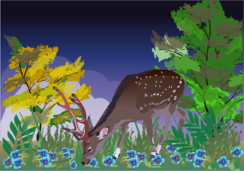 young deer between blue flowers
