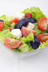 salad with tomato and lettuce