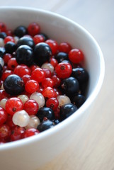 Bol de Fruits des Bois (fruits rouges groseilles cassis baies)