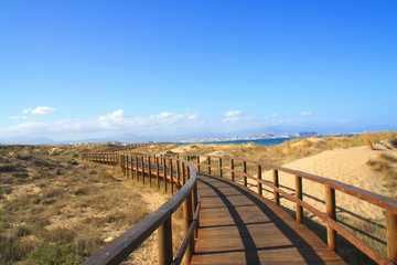 playas de Alicante