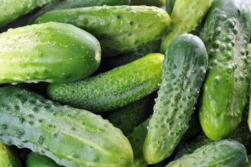 green cucumbers.