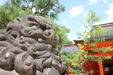 Fototapete bei efototapeten.de bestellen   