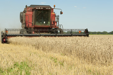 Fototapeta na wymiar Cleaning grain harvesters