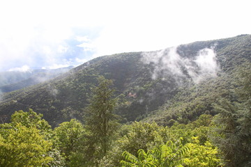 Paysage de montagne dans les Cévennes