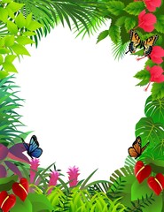 tropical forest background