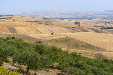 Landscape in Basilicata (Italy) near Melfi at summer