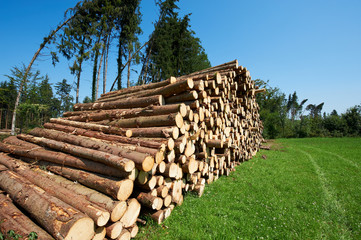 Logging