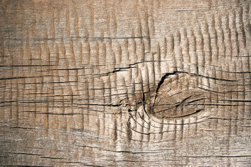 Old cracked wood