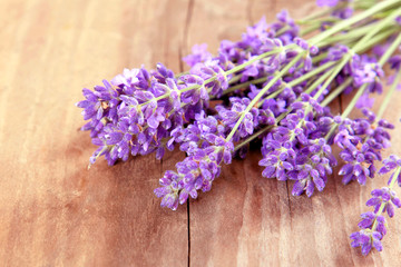 Lavendel