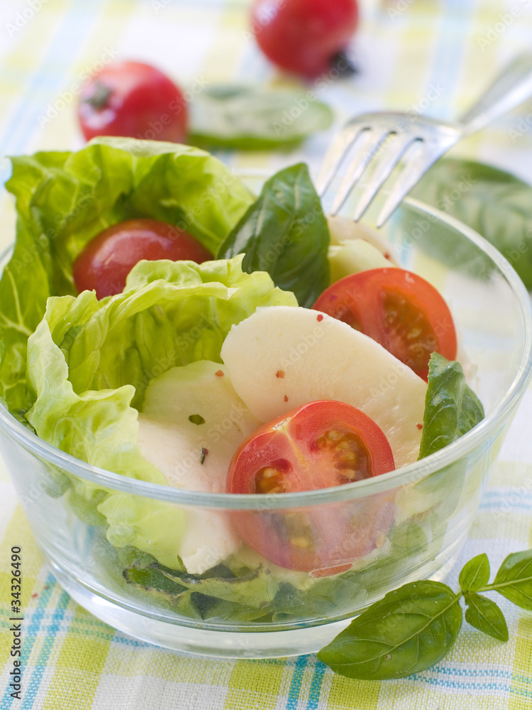 Canvas Prints salad