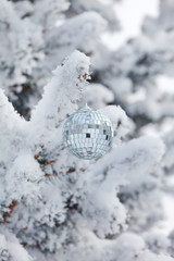 Christmas ball on the fir
