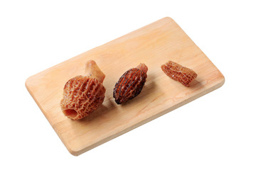 Morel mushrooms