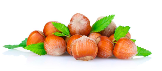 hazelnuts isolated on white