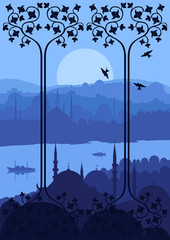Vintage turkish city Istanbul landscape illustration