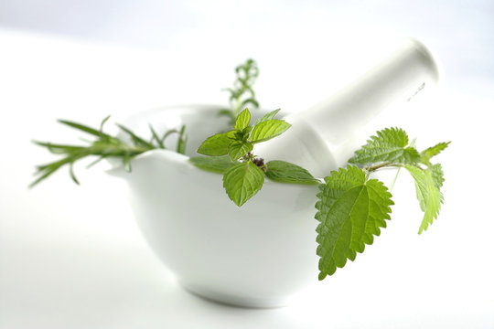 Mortier rempli de plantes m&eacute;dicinales