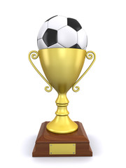 trophy and a soccer ball