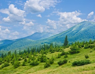 green mountains landscape