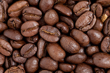 Coffee Bean