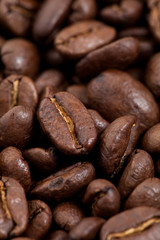 Coffee Bean