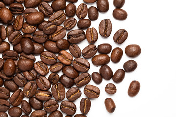 Coffee Bean