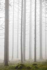 Foto op Plexiglas Forest with morning mist © Lars Johansson