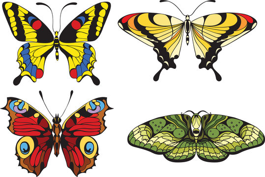 set of  butterflies