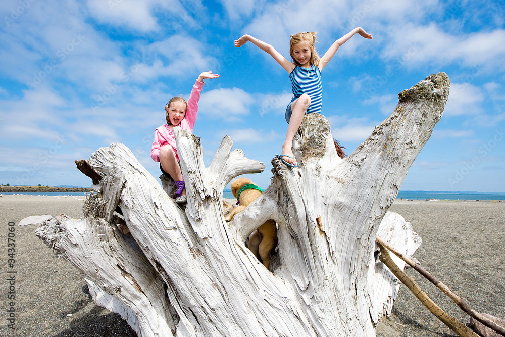 Poster Kids playing at the beach