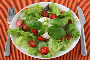 Salad with cheese mozzarella