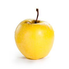 Golden Delicious Apple
