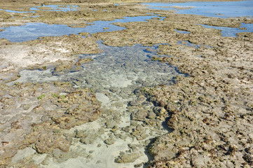 piscine naturali di maragogi