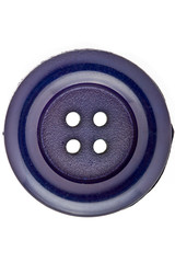 Blue Plastic Button