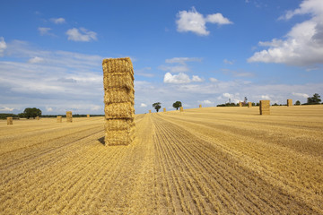 straw bales and stubble