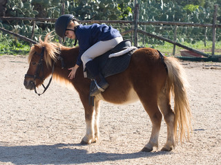 bambina abbraccia pony
