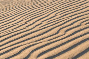 Fototapeta na wymiar Sand dune texture