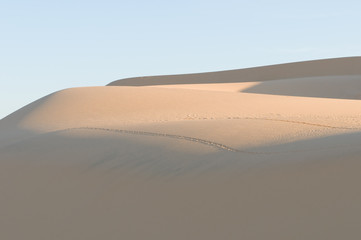 Fototapeta na wymiar sand dunes,Vietnam