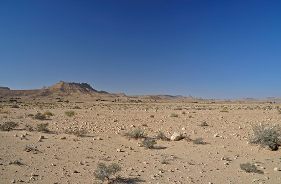Grand Sud Tunisie,  désert de pierre, Sahara