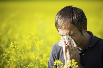 Man blowing his nose in canola field