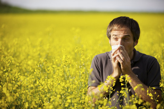 Man Suffering From Pollen Allergy