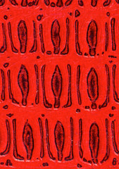 Red leather book cover detail