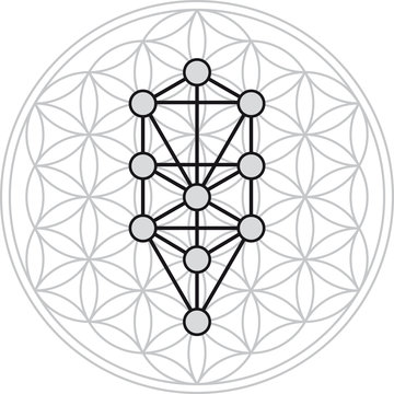 Ten Sephirots of Kabbalah fits in Flower of Life, a geometrical figure, composed of multiple evenly-spaced, overlapping circles forming a flower-like pattern. Illustration on white background.
