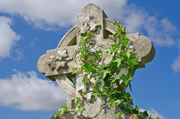 Irish celtic cross with real and carved ivy
