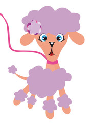 violet dog