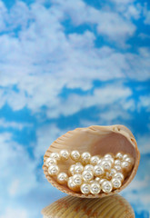 Elegant pearls over in shell with sky and reflection very shallo